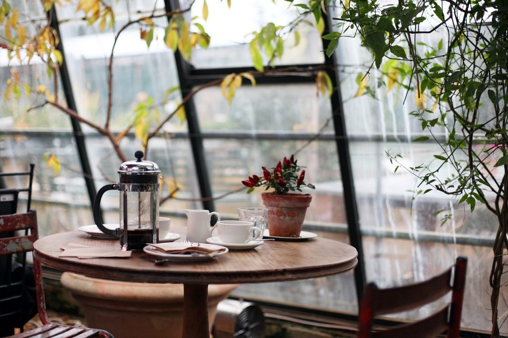 conservatory, coffee, plants