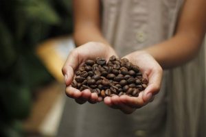 Top Rated Coffees Buying Guide